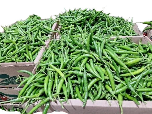 Natural Fresh Khergam Green Chillies 