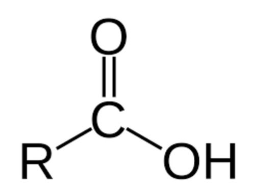 Carboxylic Acid