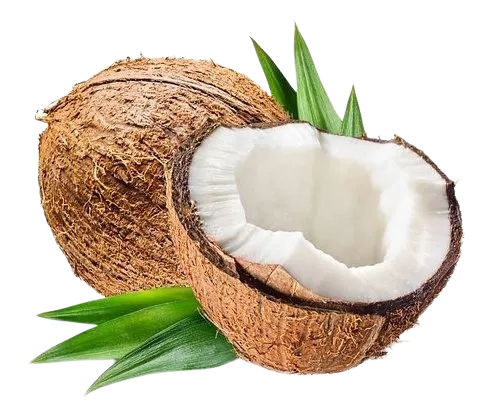 Best Quality Semi Husked Coconut