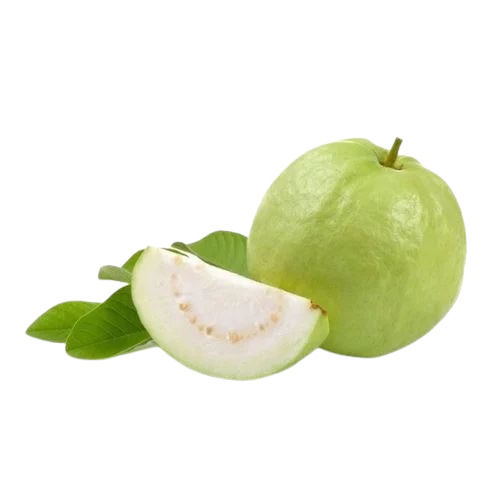 Guava Fruits