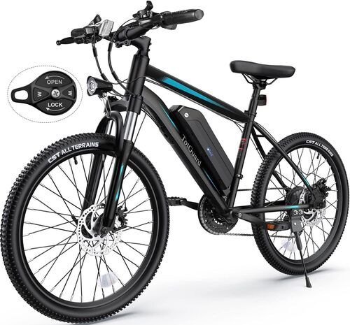 Fast Chargeable And Self Started Electric Bicycle