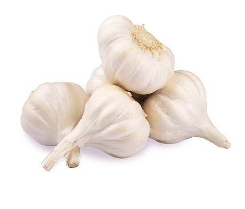 Garlic For Sale