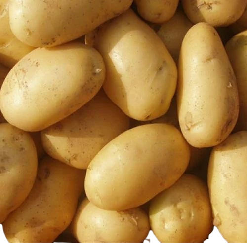 3797 Potato