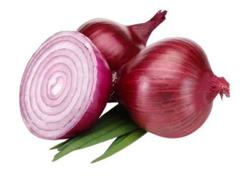 Fresh Red Onion