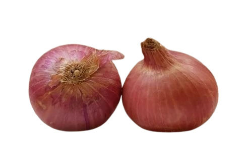 Natural Fresh Pink Shallot Onions