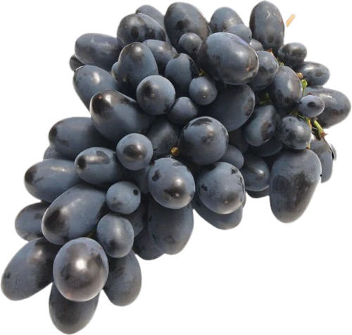 Fresh Black Grapes