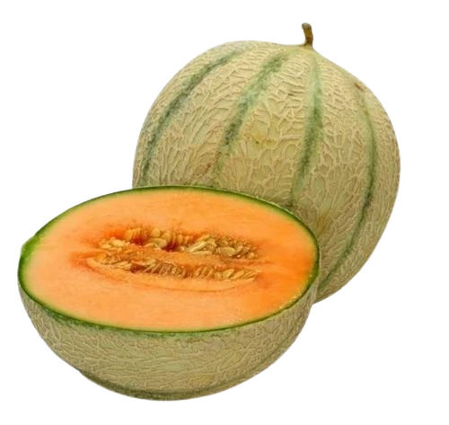 Natural Fresh Green Muskmelon