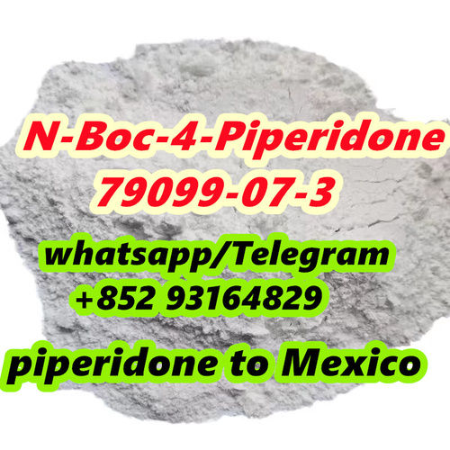 CAS 79099-07-3 1-Boc-4-Piperidone fast shipping 