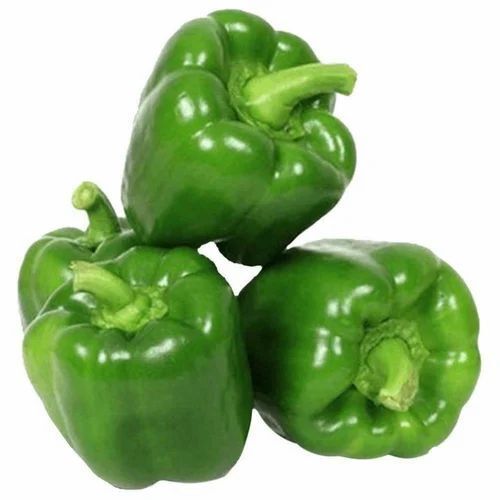 A Grade Indian Origin Commonly Cultivated 100 Percent Purity Fresh Green Capsicum