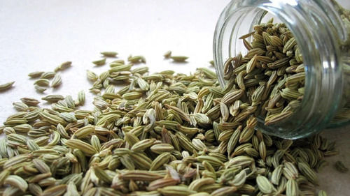 Green fennel seeds