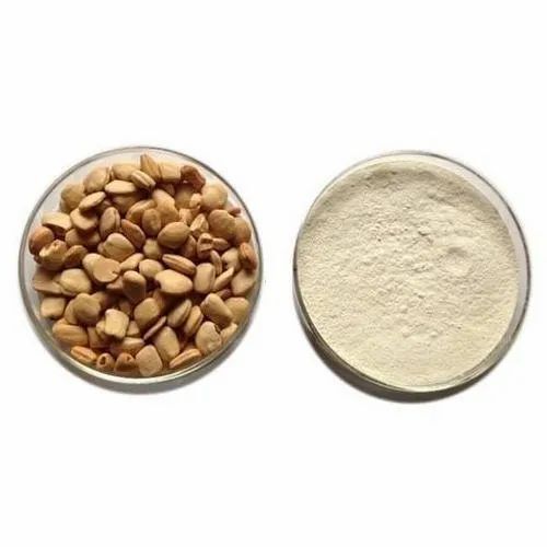 Tamarind Kernel Powder - 90% Purity, White Color, Vacuum Pack | Sour Taste, Dried Form, Very Good Quality