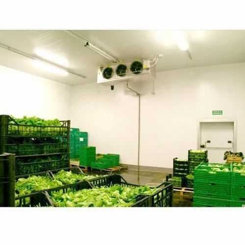 Large Storage Capacity High Efficiency Electrical Automatic Vegetable Cold Storage Room