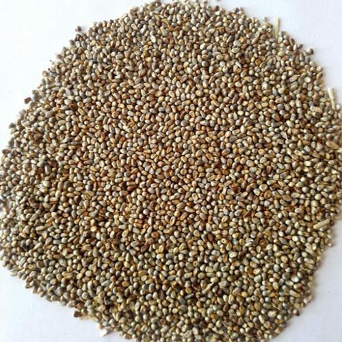 Natural And No Artificial Flavor Millet Seeds