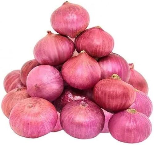 Natural Fresh Red Onion For Cooking