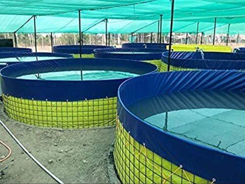 PVC Premium Design Biofloc Fish Farming Tank