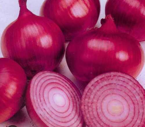 Fresh Red Onion - Food Grade, Rich in Taste and Nutrition, Healthy for Cooking