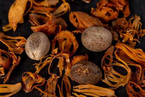 Dried Nutmeg Form Seed