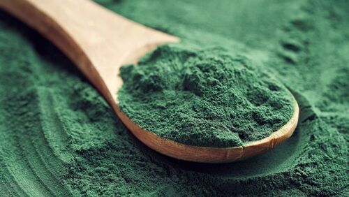 Free From Impurities Green Herbal Spirulina Powder