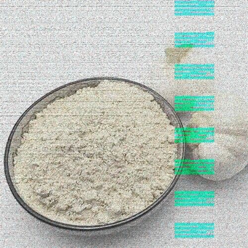 100% Organic A Grade Natural Garlic Powder