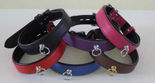 Dog Collars