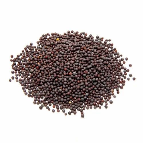 Gluten Free Black Mustard Seeds