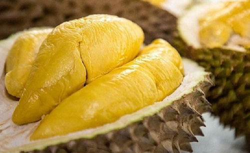 Fresh Sweet Tropical Fruit Durian