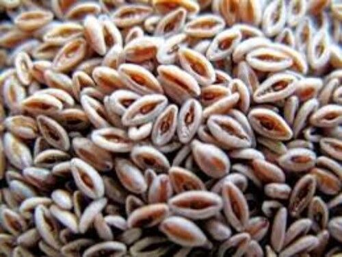 Easy To Digest And No Preservatives Psyllium Seeds