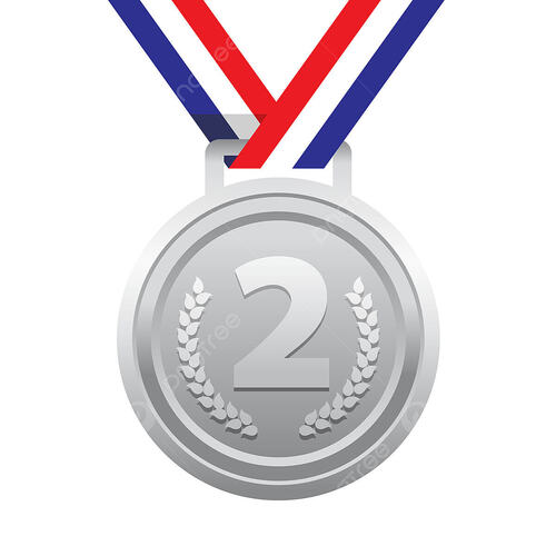 Silver Finish And Premium Design Silver Medal