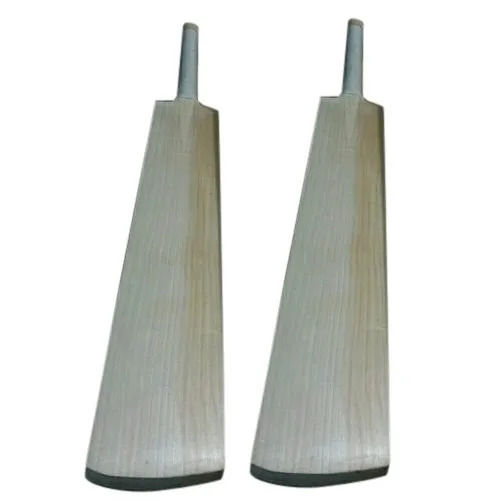 Light Weight English Willow Cricket Bat