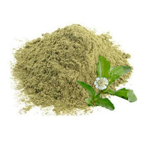 Bhringraj Powder - Premium Quality Green Herbal Extract, 100% Pure Powder for All Uses