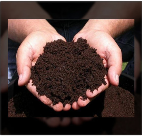 Black Powder Organic