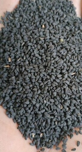 Black Cumin Seeds - Purity 99.99%, Shelf Life 2 Years | Black Color, Hybrid 1, Type: Herb Seeds