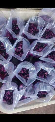 Jamun Pulp