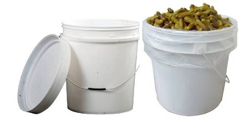 A Grade Gherkins in Pails 10 KG Pack