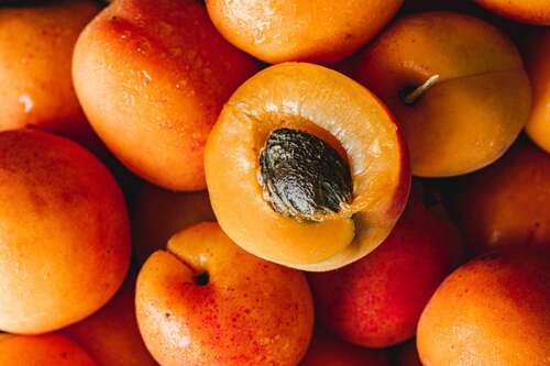 Natural Rich Aroma Apricot Fruit