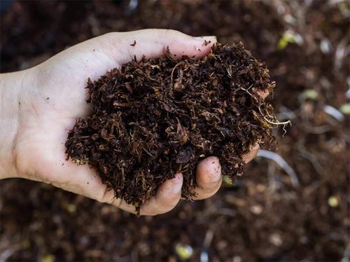 Organic Fertilizer - Premium Quality 100% Purity Slow Release Black Color | Contains Calcium Salt Excellent Solubility Ideal for Agricultural Use