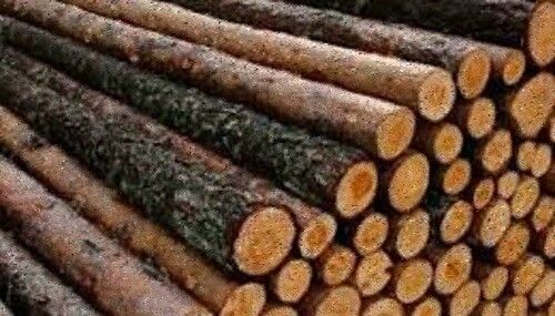 Brown Wood Logs