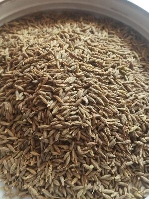 100% Unadulterated Cumin Seeds