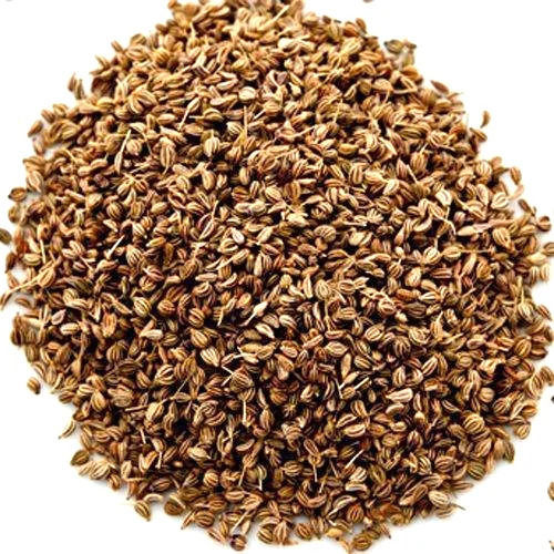 A Grade Common Cultivation Indian Origin 100 Percent Purity Dried Ajwain Seeds