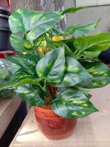 Artificial Philodendron Plant For Home Decor