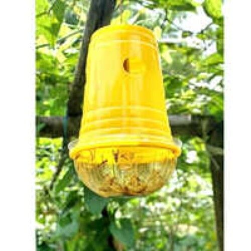 Yellow Insect Trap for Agriculture Use