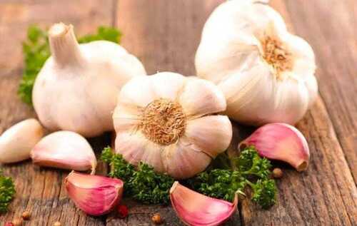 organic garlic 