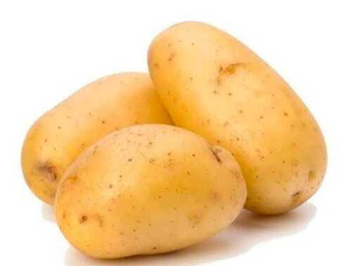 Organic Potato for Home  Restaurant Snacks