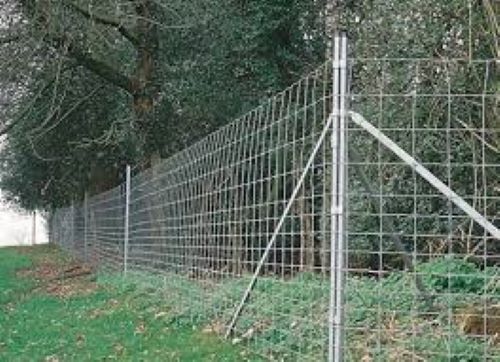 Forest Solar Fencing