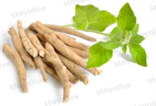 Herbal Withania Somnifera Extract
