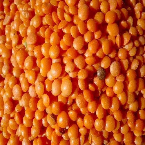 100% Natural Fresh Organic Masoor Dal