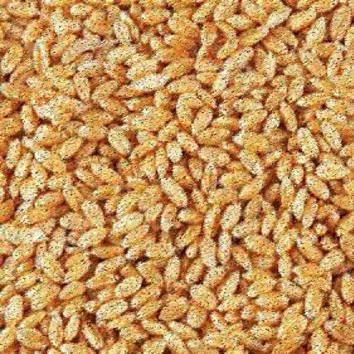 100% Pure Wheat Seeds 