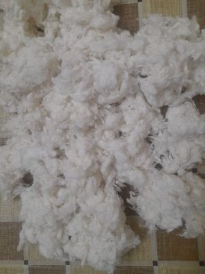 Eco Friendly White Bleached Cotton