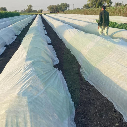 Best Quality White Plain Non-Woven Cloth Crop Protection Cover For Agriculture