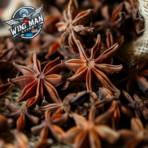 Natural Color Star Anise Flower Spring